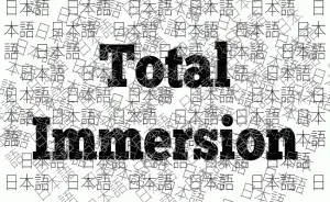 JLPT total immersion