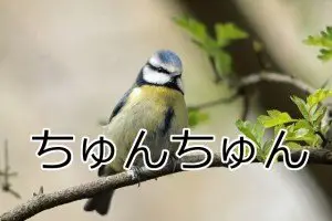 sound symbolism in Japanese