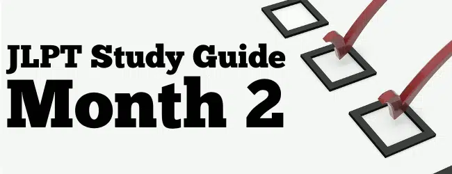 JLPT Study Guide – Month 2 post image